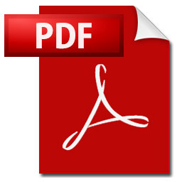 pdf@͂