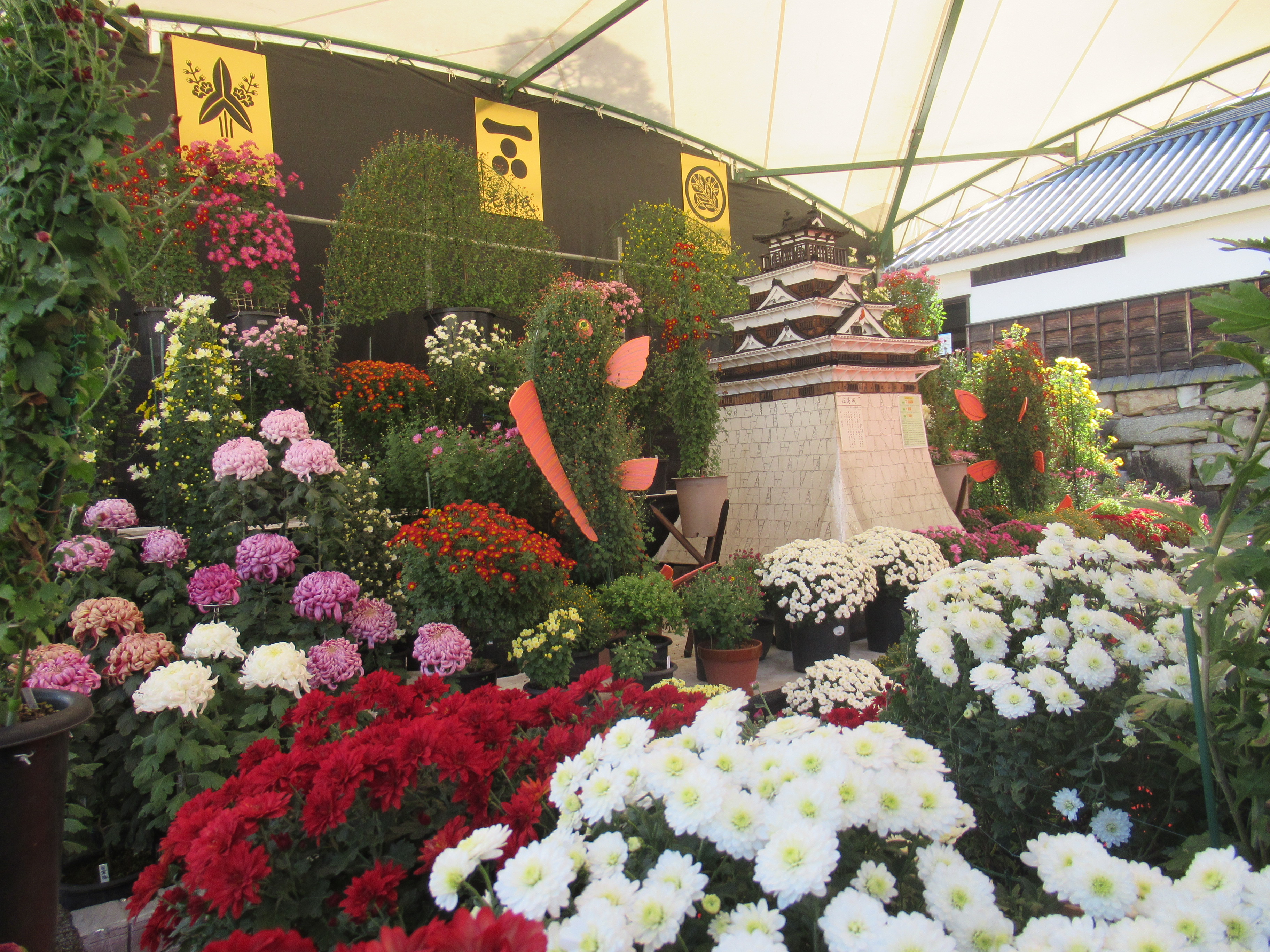 写真提供：広島祭委員会提供