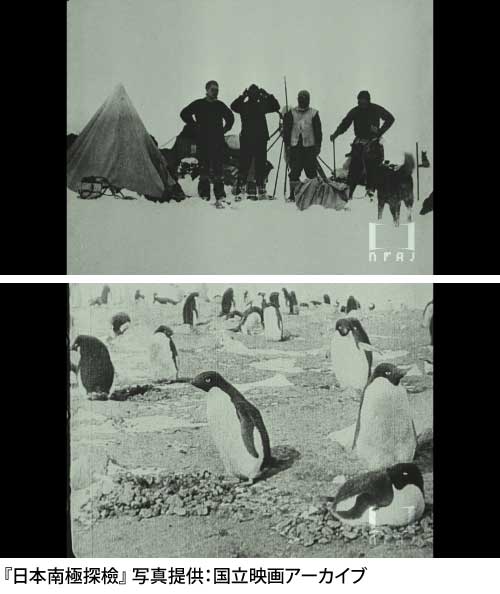 日本南極探検の写真