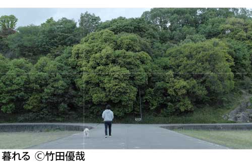 暮れるの写真