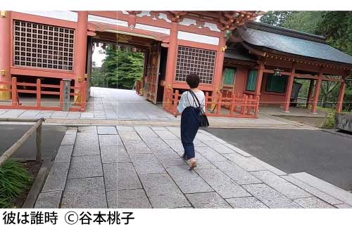 彼は誰時の写真