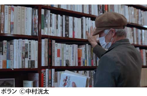 ポランの写真
