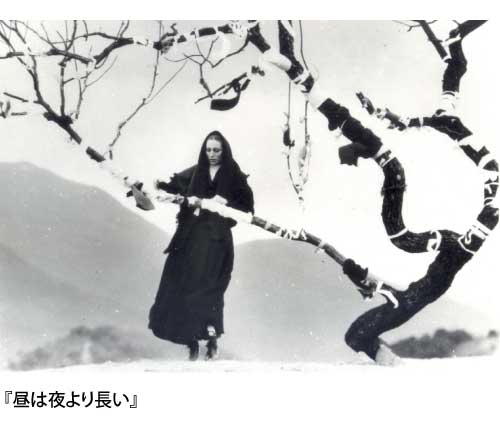 昼は夜より長いの写真