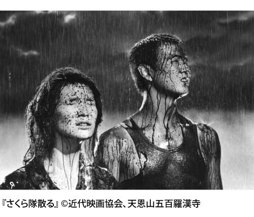 さくら隊散るの写真