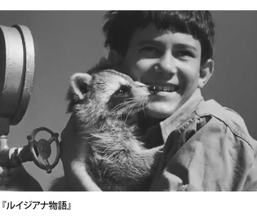 ルイジアナ物語の写真