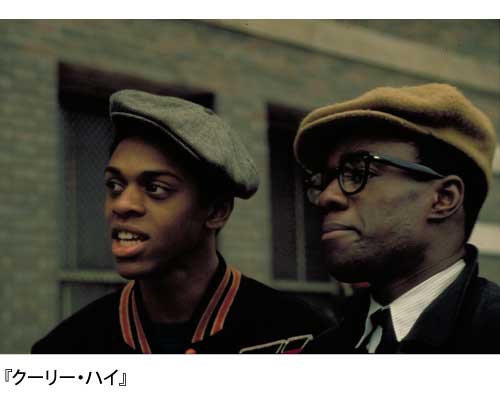 クーリー・ハイの写真