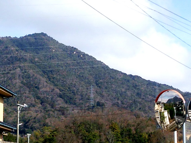 向山の写真