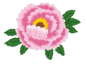 イラスト