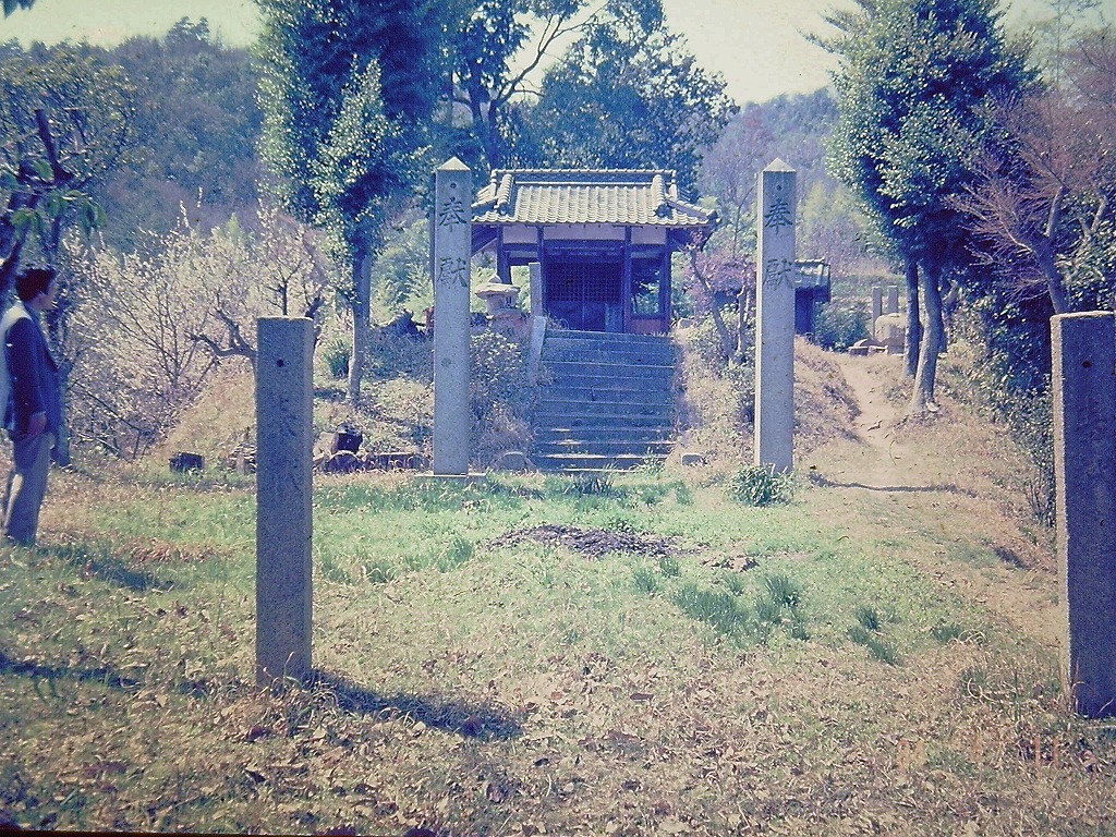 大原神社の写真