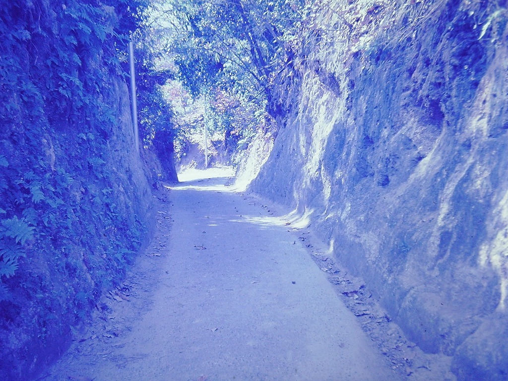 旧西国街道の写真