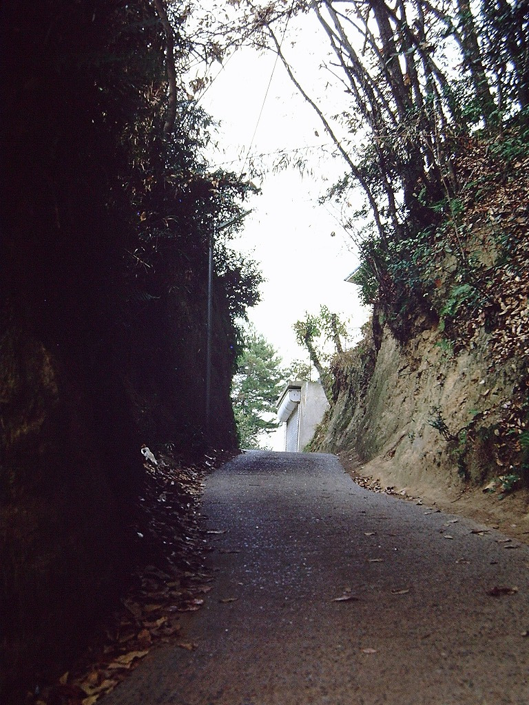 才蔵峠の写真