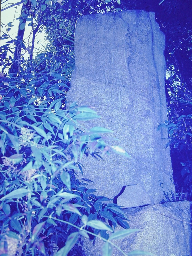 馬の墓の写真