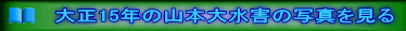 吳15N̎R{吅Q̎ʐ^