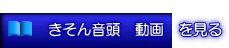   񉹓@@