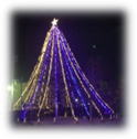 ヒマラヤスギクリスマスツリー
