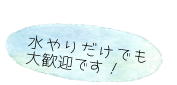 水やり
