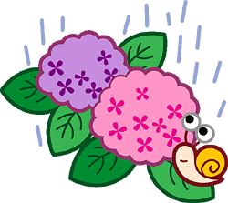 イラスト　アジサイ