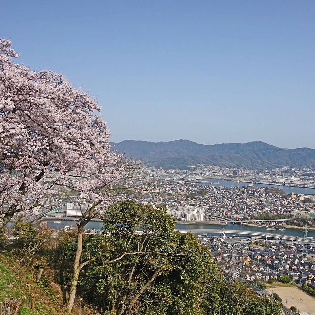 黄金山山頂から向洋方面を臨む写真