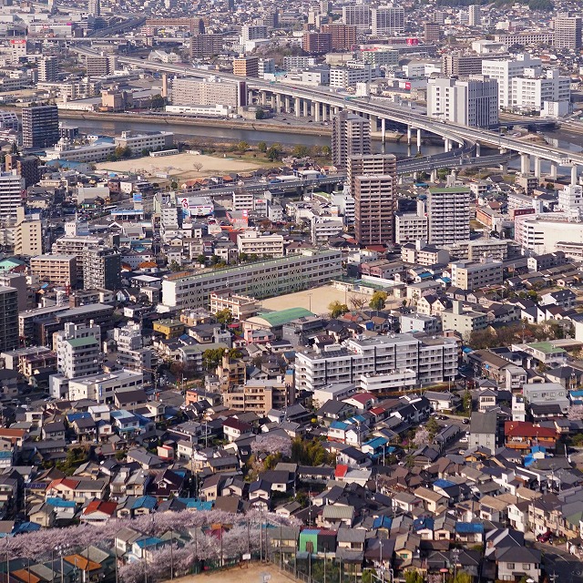 黄金山からの仁保小方面を望む写真