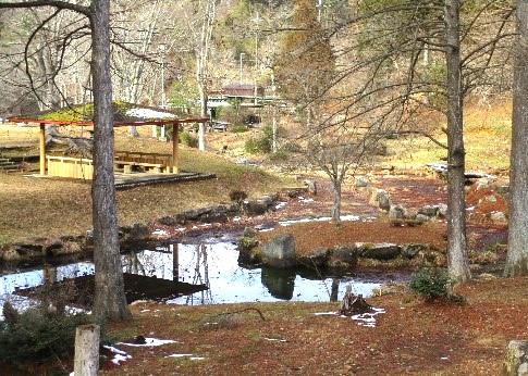 写真：近くの小川