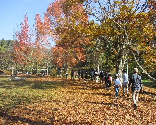 写真: