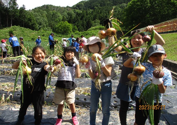 写真:設置サンプル