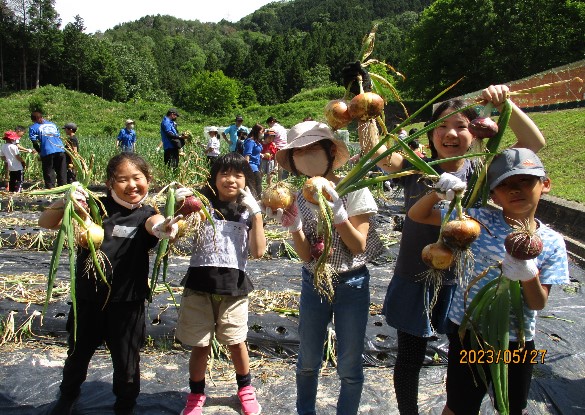 写真：設置サンプル