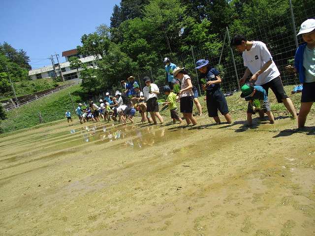 田植え