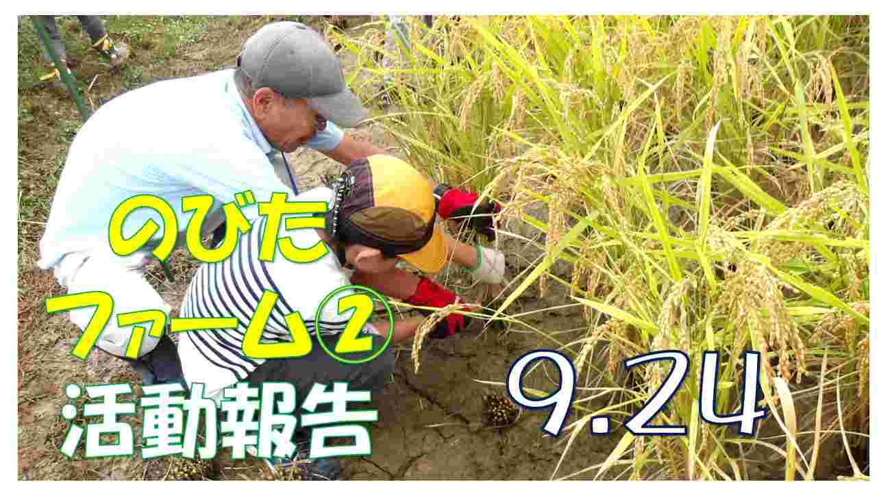 のびたファーム②