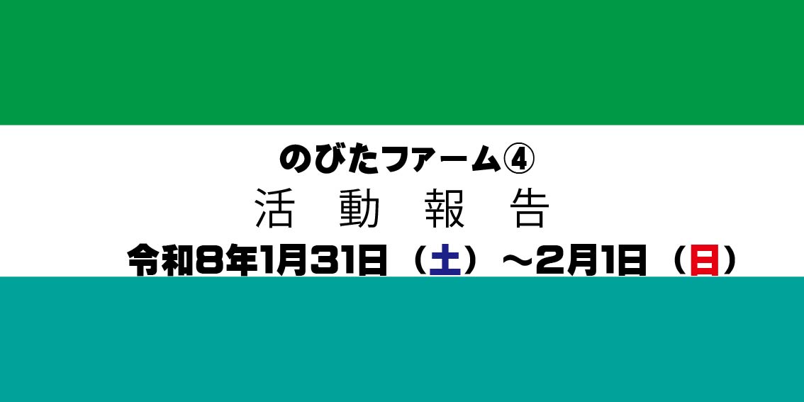 のびたファーム④）
