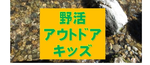 野活アウトドアキッズ