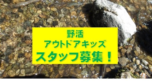 野活アウトドアキッズボランティア募集