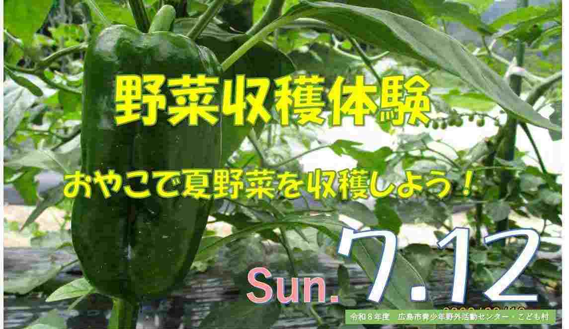野菜収穫体験