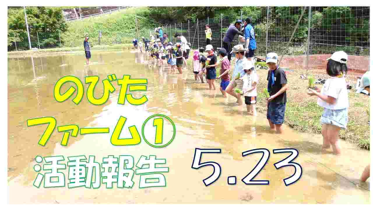 のびたファーム①
